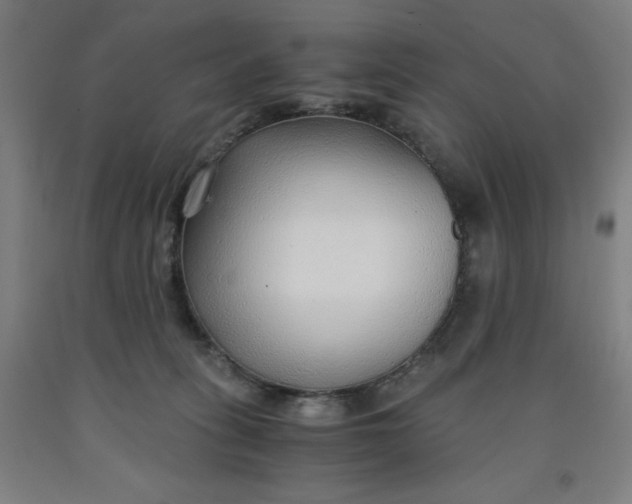 X0000091860275200709261301