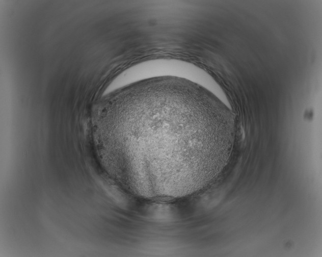 X0000091860276200709261301