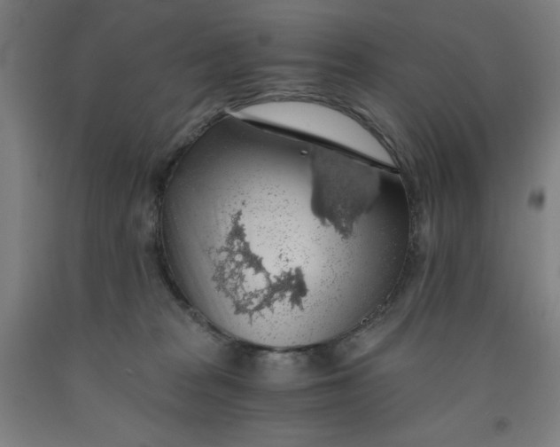 X0000091860277200709261301