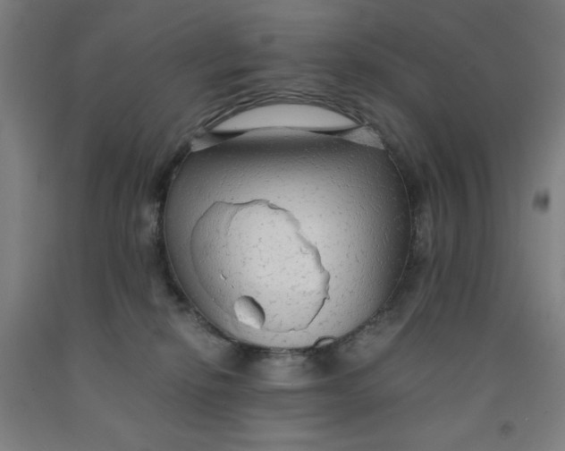 X0000091860278200709261301