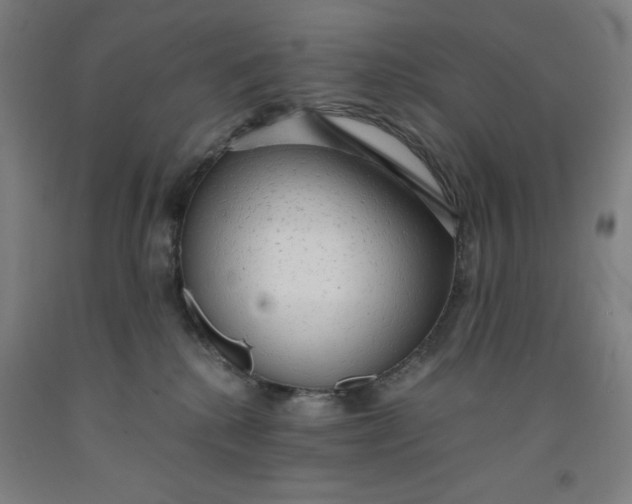 X0000091860280200709261301