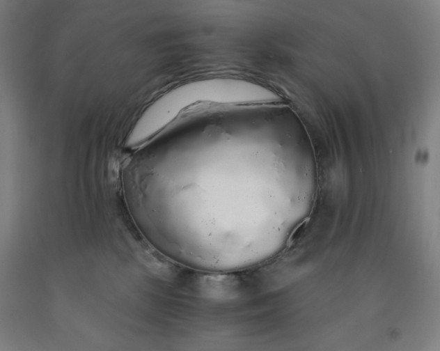 X0000091860281200709261301