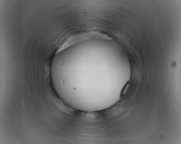 X0000091860282200709261301