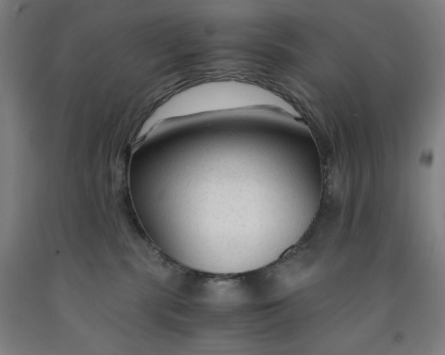 X0000091860283200709261301