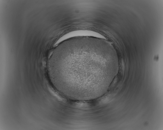 X0000091860284200709261301