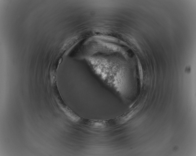 X0000091860285200709261301