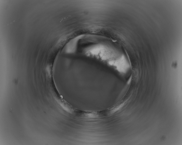 X0000091860286200709261301