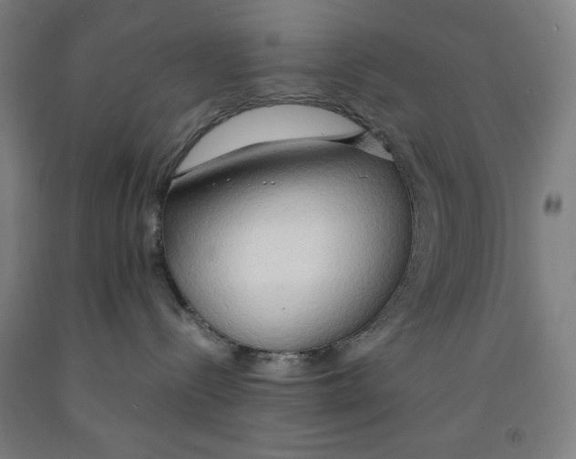 X0000091860288200709261301