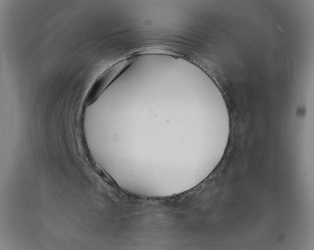 X0000091860289200709261300