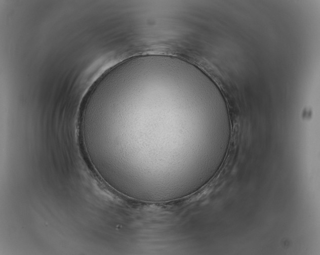 X0000091860290200709261300