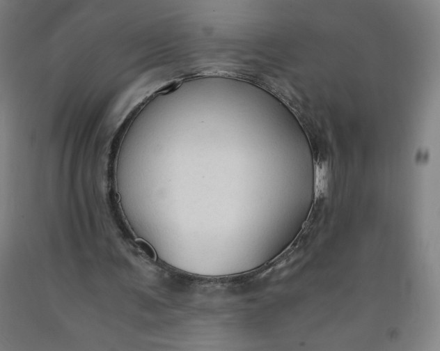 X0000091860291200709261300