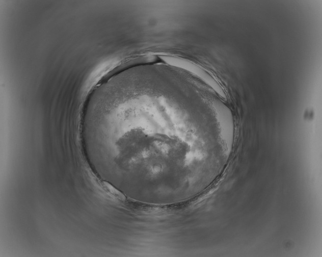 X0000091860293200709261300