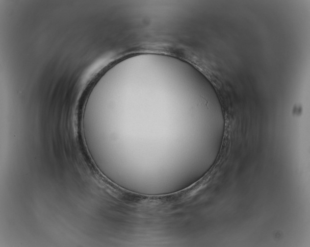 X0000091860294200709261300