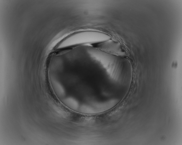 X0000091860295200709261300