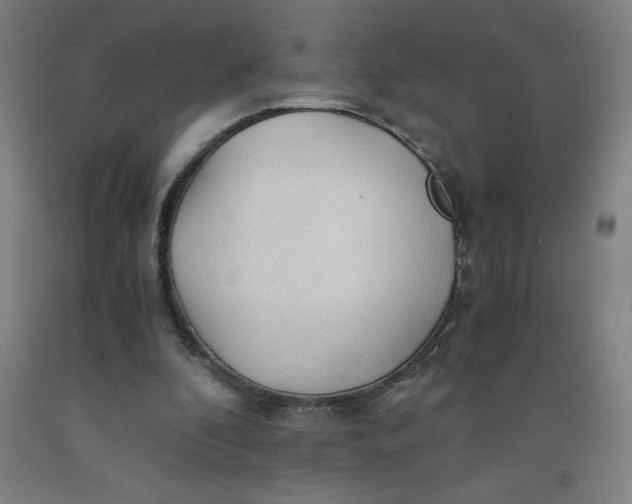 X0000091860296200709261300