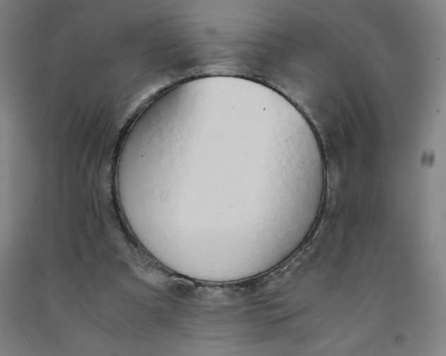 X0000091860297200709261300