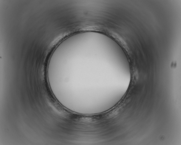 X0000091860298200709261300