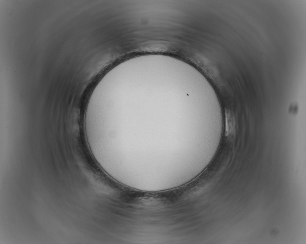 X0000091860300200709261300