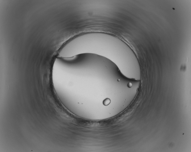 X0000091860301200709261300