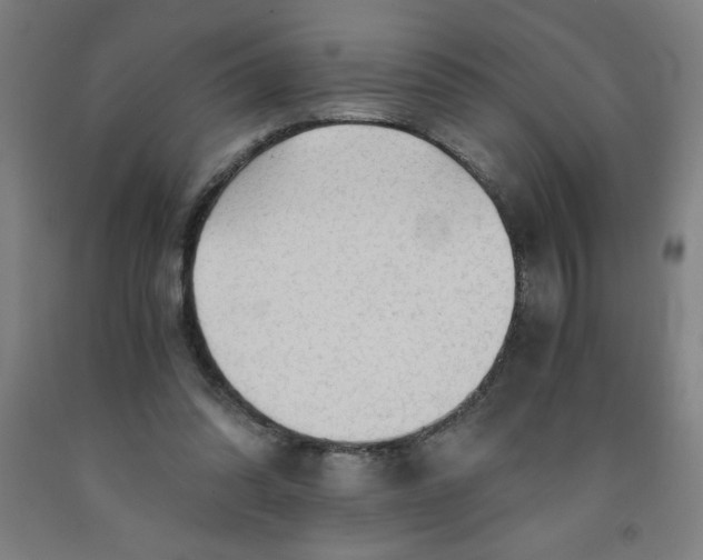 X0000091860302200709261300