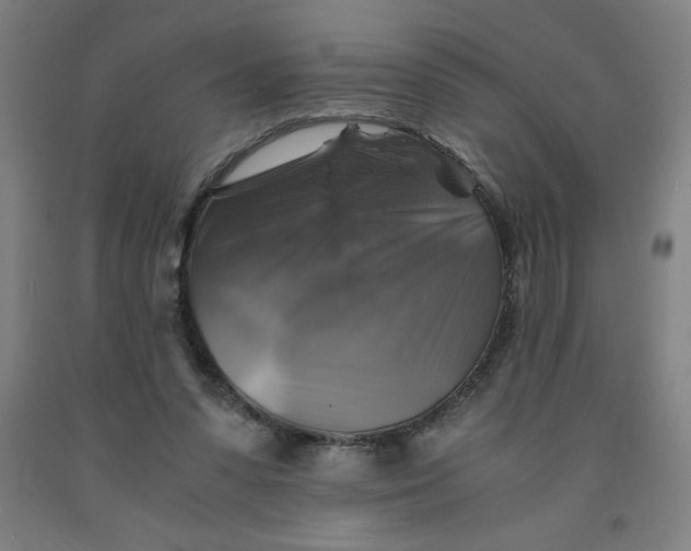 X0000091860303200709261300