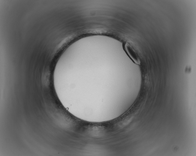 X0000091860304200709261300