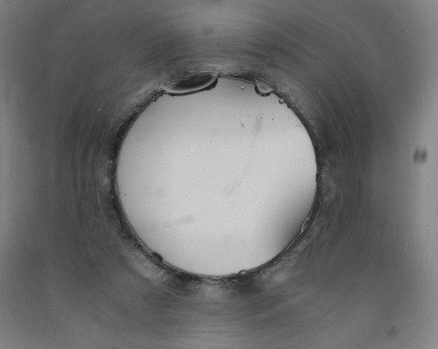 X0000091860305200709261300