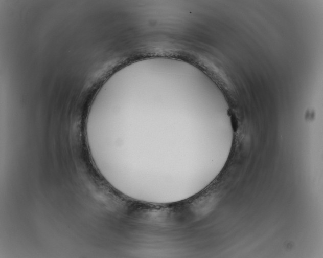 X0000091860306200709261300