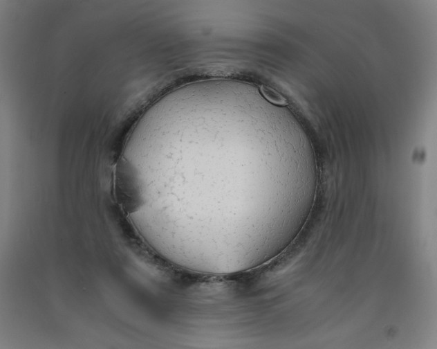 X0000091860307200709261300