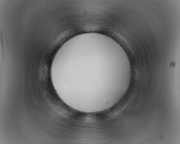 X0000091860308200709261300