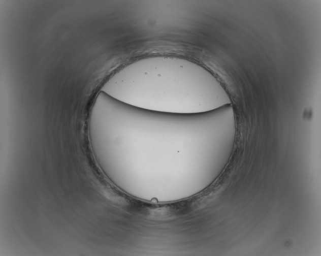 X0000091860309200709261300