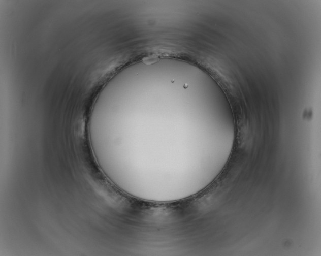 X0000091860310200709261300