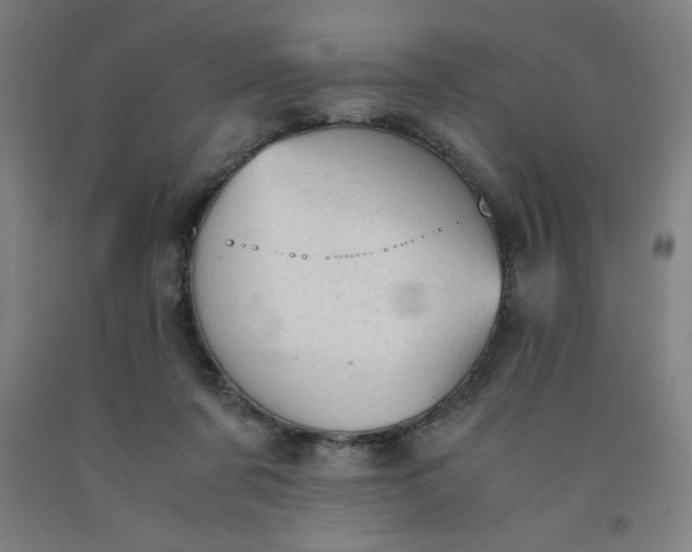 X0000091860311200709261300