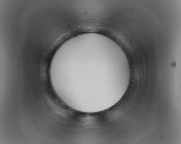 X0000091860312200709261300