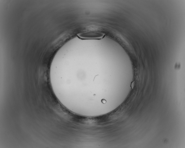 X0000091860313200709261300