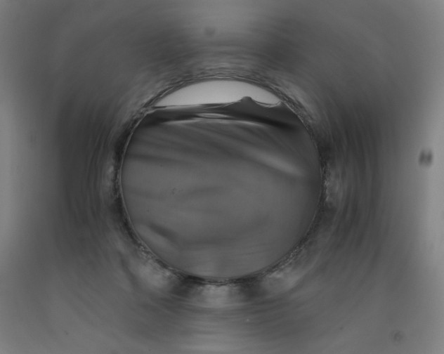 X0000091860314200709261300