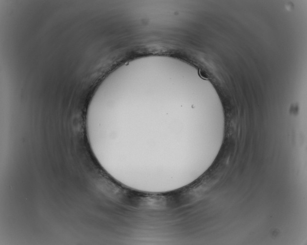 X0000091860317200709261300