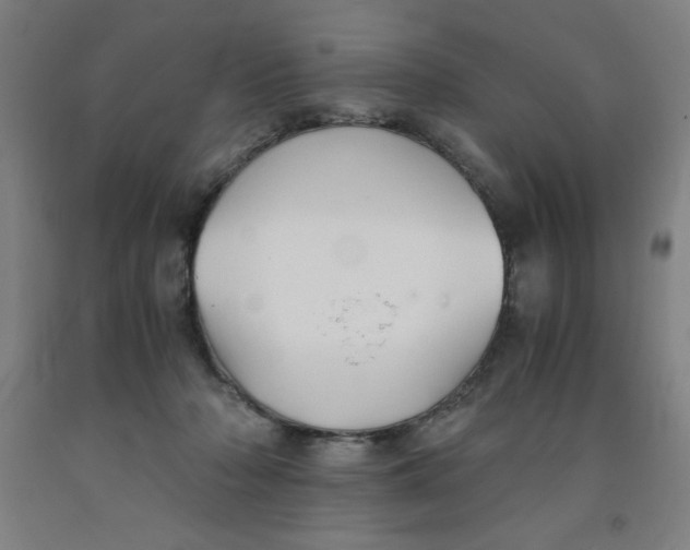 X0000091860318200709261300