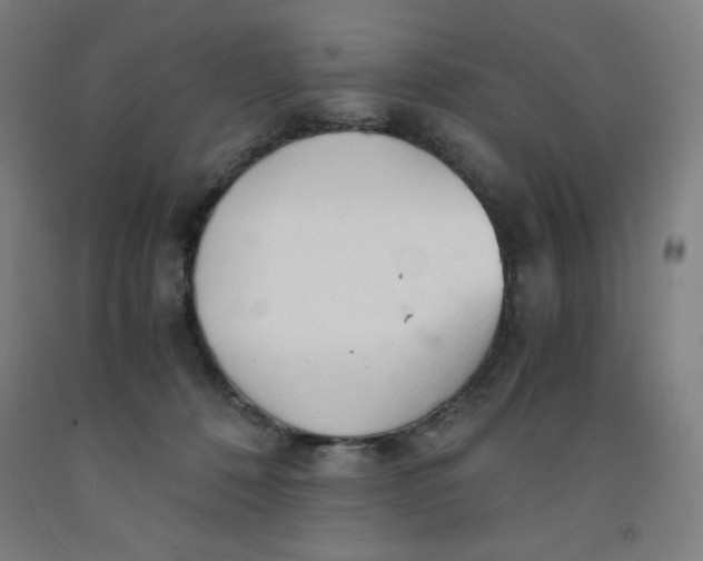 X0000091860320200709261300