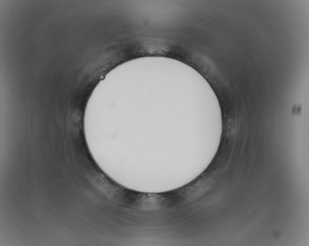 X0000091860321200709261300