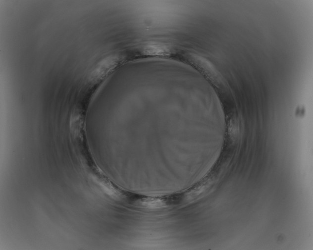 X0000091860322200709261300