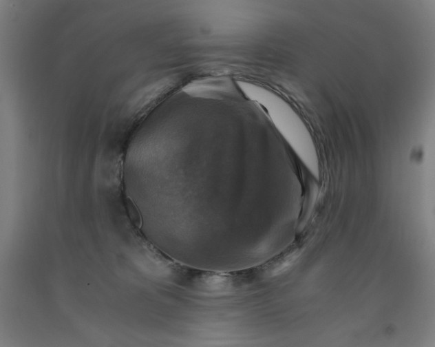 X0000091860325200709261300