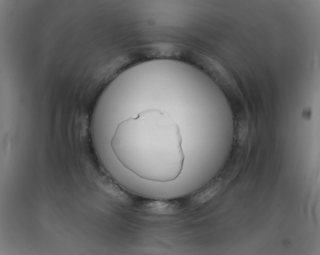 X0000091860326200709261300