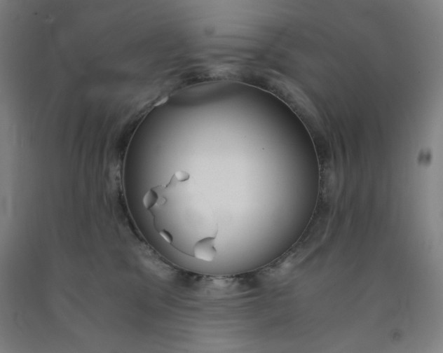 X0000091860329200709261300