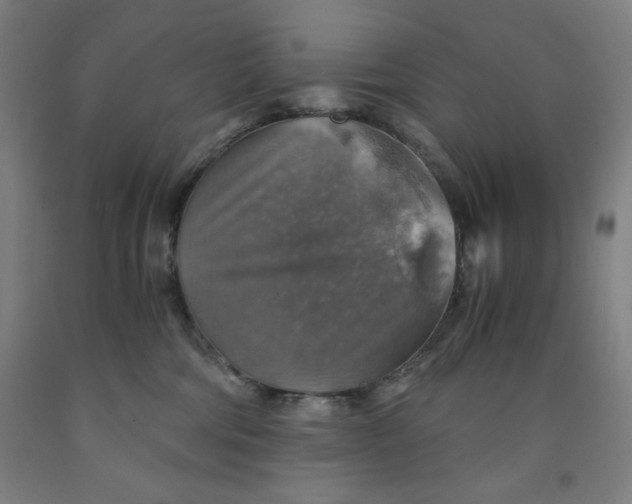 X0000091860330200709261300