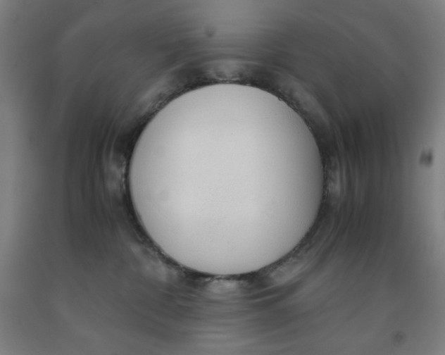 X0000091860332200709261300