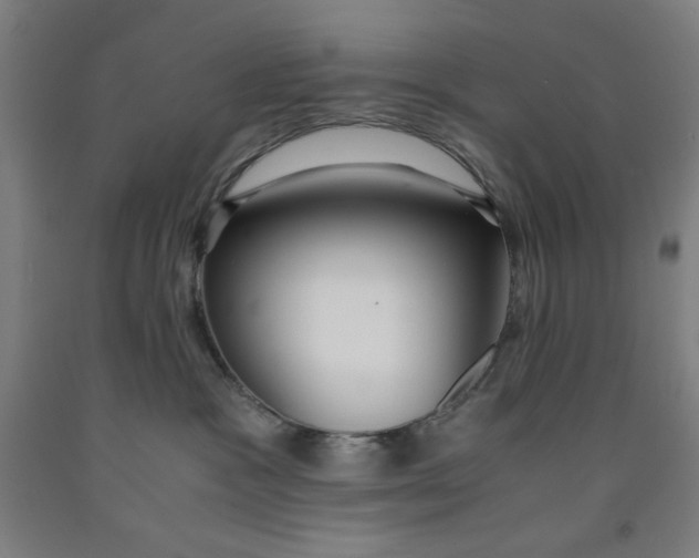 X0000091860333200709261300