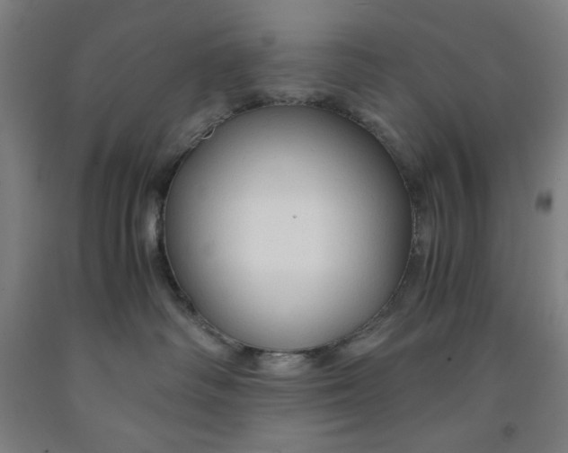 X0000091860334200709261300