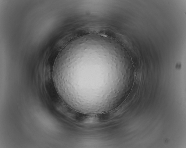 X0000091860335200709261300