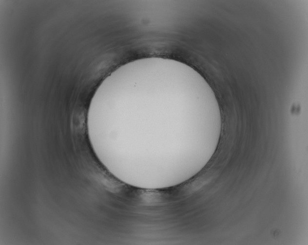 X0000091860336200709261300